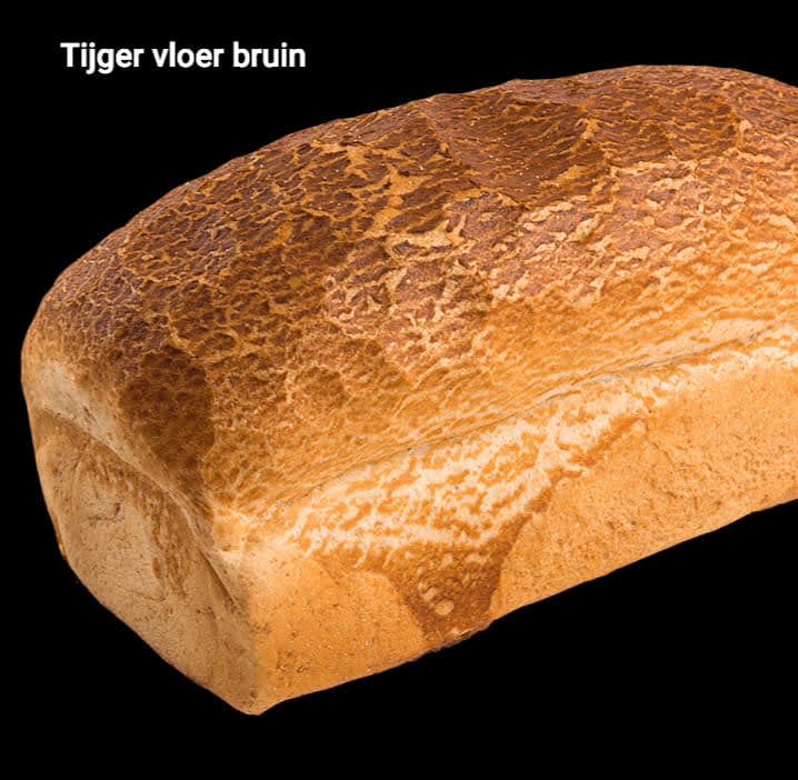 Tijger vloer bruin halfje